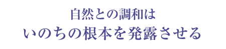 獨鈷山鏑射寺：山主法話